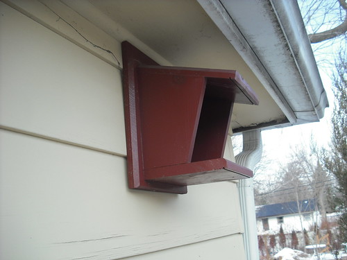 Robin Nesting Box 01