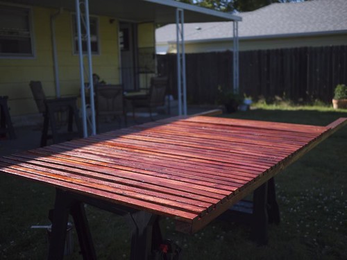 Screen/Trellis Project