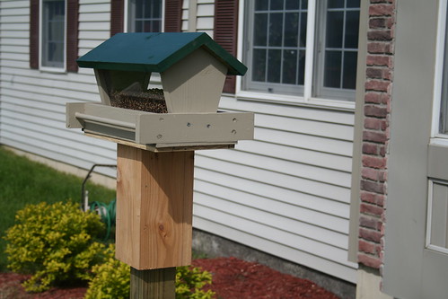 New Bird Feeder, May 2010