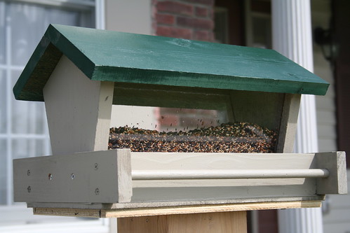 Bird Feeder, The Design