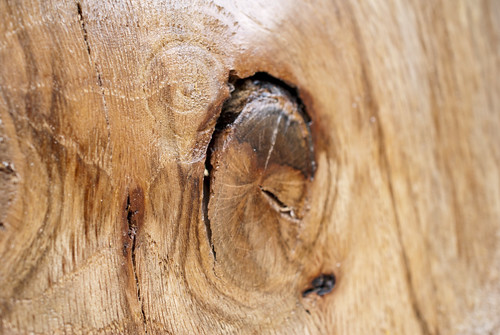 0006 Spalted Red Oak Bowl3