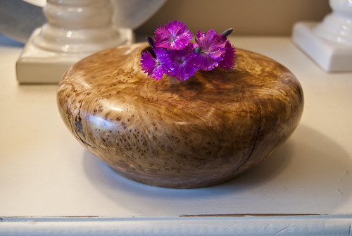 Olive Burl Vase