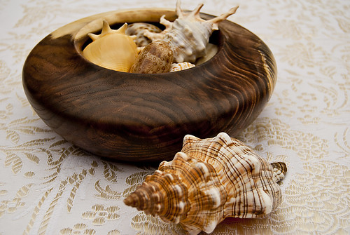 Bowl and Shells2