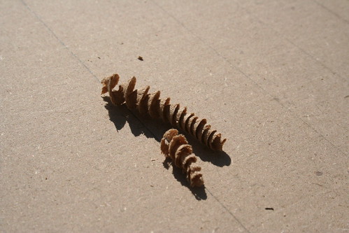 Spiral shavings of MDF