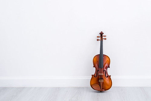 Classical cello on white wall background