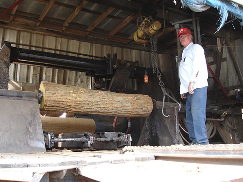 Debarking the Osage Orange