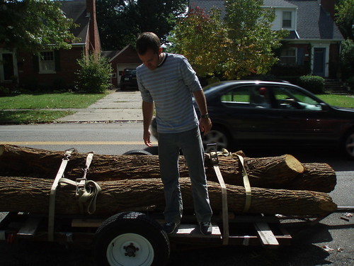 Logs in the Street