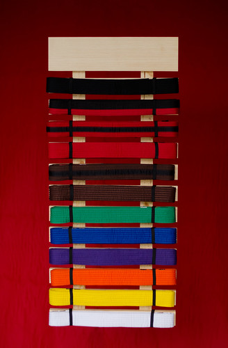 Martial Arts Belt Display