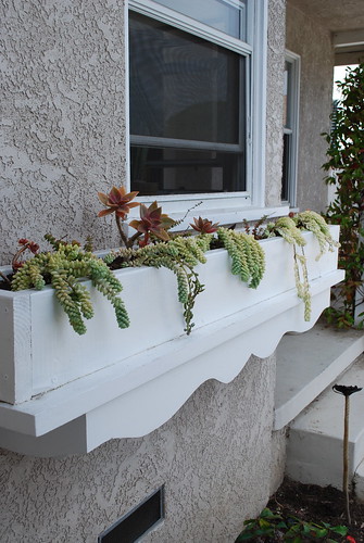 Succulent Planter Box