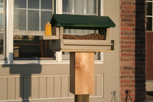 Bird Feeder, Inaugural Installation