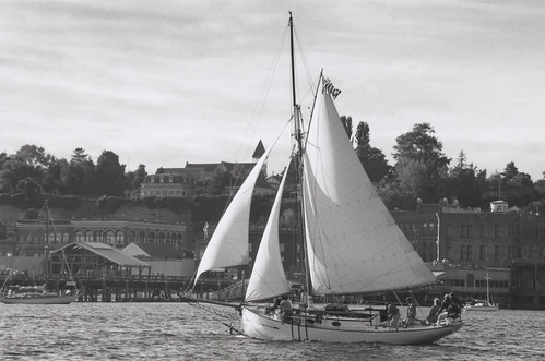 BRYONY cruising the Port Townsend WA waterfront